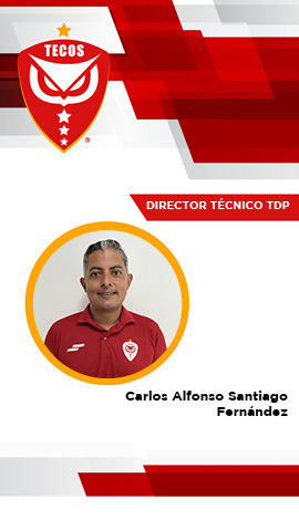 Director Técnico